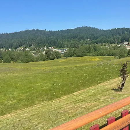 Le Cedre Bleu 10 P - 10 Min De Gerardmer Le Tholy