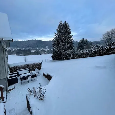 샬레 Le Cedre Bleu 10 P - 10 Min De Gerardmer