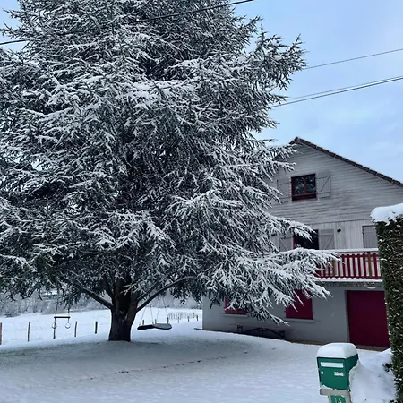 Le Cedre Bleu 10 P - 10 Min De Gerardmer