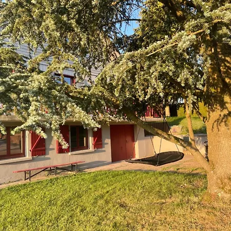 샬레 Le Cedre Bleu 10 P - 10 Min De Gerardmer