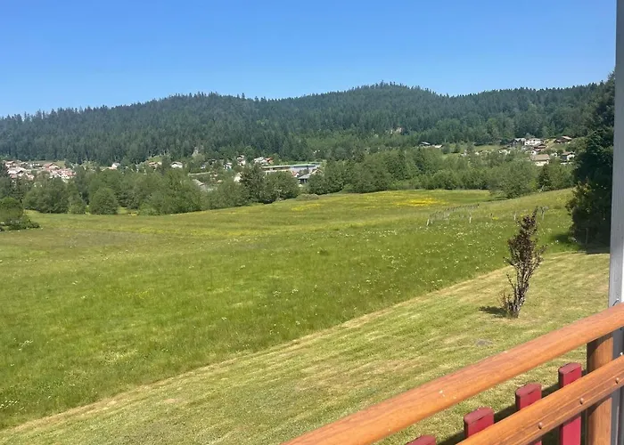 Le Cedre Bleu 10 P - 10 Min De Gerardmer Le Tholy