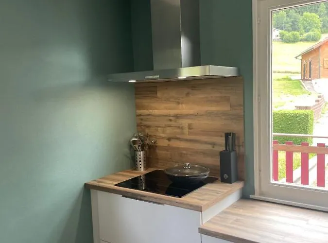 Le Cedre Bleu 10 P - 10 Min De Gerardmer Domek alpejski *