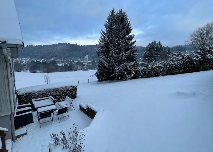 샬레 Le Cedre Bleu 10 P - 10 Min De Gerardmer