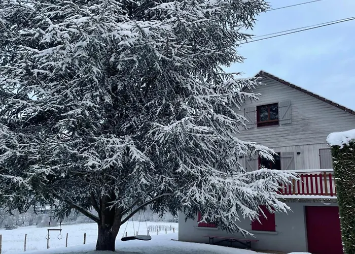 Le Cedre Bleu 10 P - 10 Min De Gerardmer
